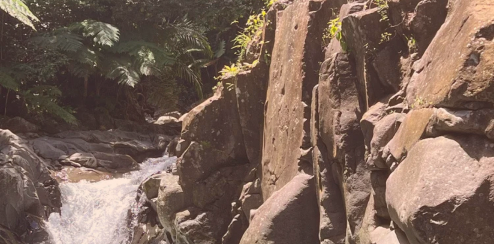 Sativa voyage template insta (Publication Instagram) (13)