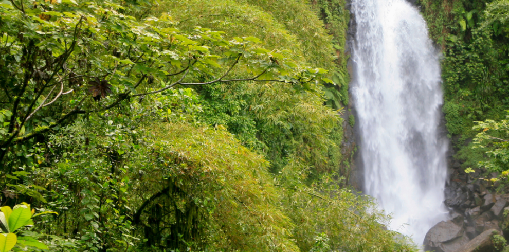 Sativa voyage template insta (Publication Instagram) (20)