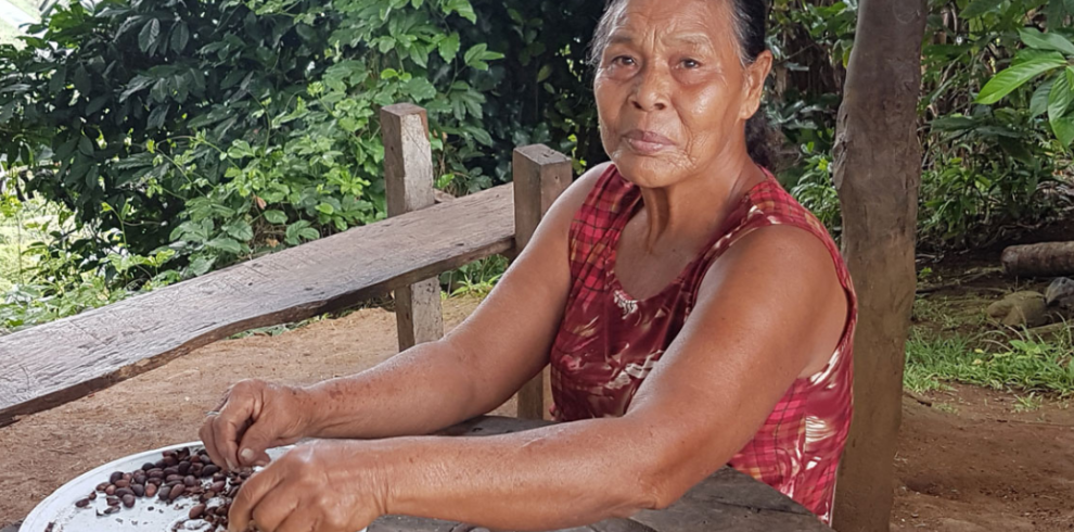 Sativa voyage template insta (Publication Instagram) (25)