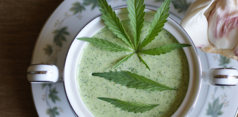 Sativa voyage template insta (Publication Instagram) (18)