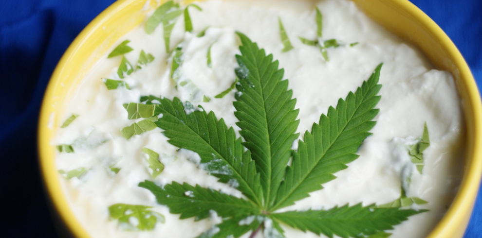 Sativa voyage template insta (Publication Instagram) (19)