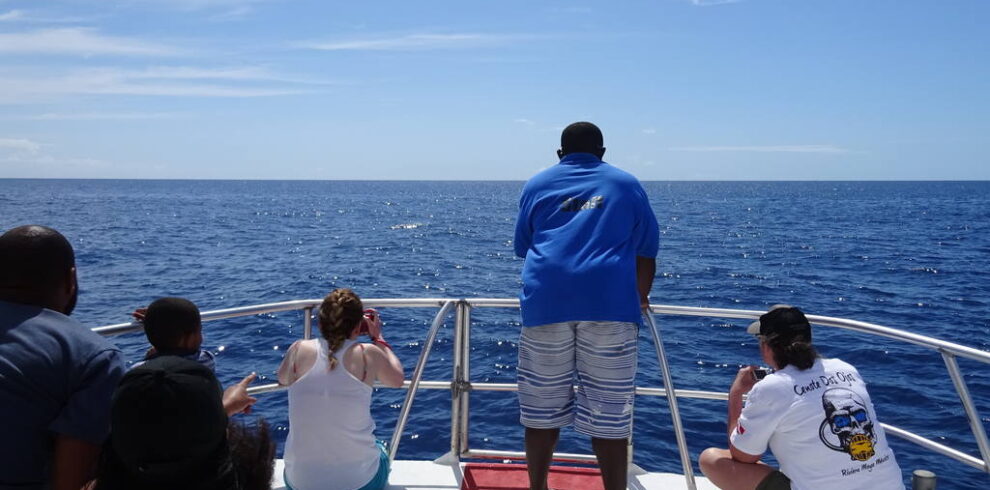 dominica_whalewatching_diveoclock-5