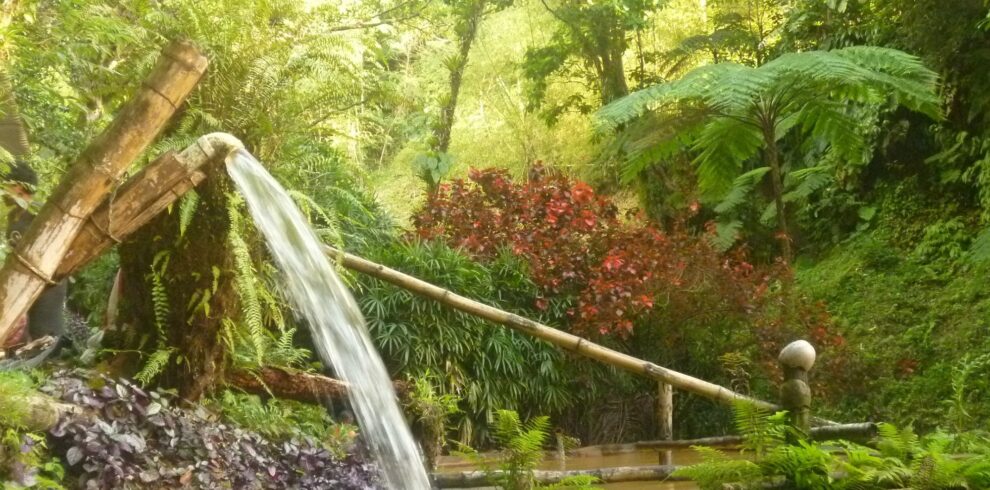 en-pleine-nature