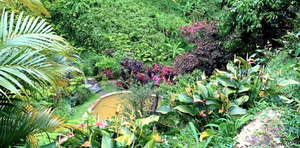 ti-kwen-glo-cho-hot-spring-spa-watten-waven